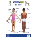 WALL CHART - MY BODY - MARLIN WALL CHART - MY BODY - MARLIN